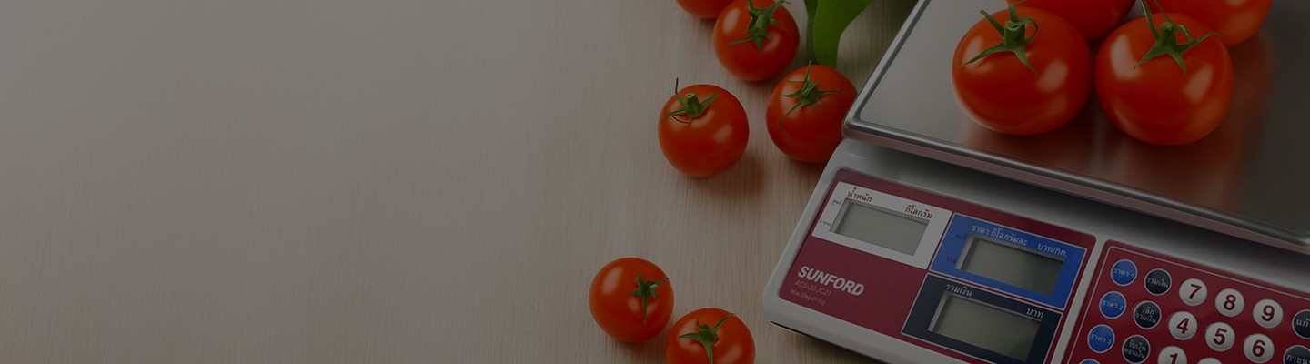 Industrial Scale Banner