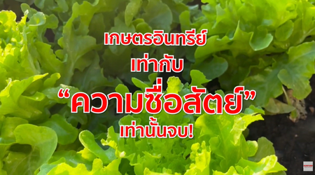 Organ by Smart 9 Farm | ฟาร์มและร้านออร์แกนิคตัวจริง ปลูกด้วยรัก ฟักด้วยใจ