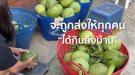  ผลไม้สดพรีเมี่ยม ส่งตรงถึงบ้านคุณ!