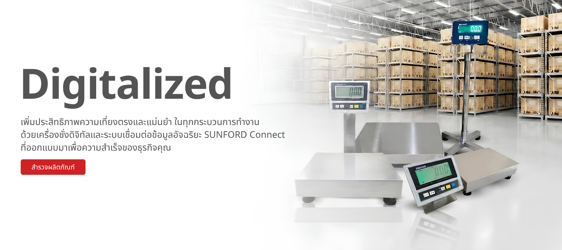 Industrial standard & custom scale