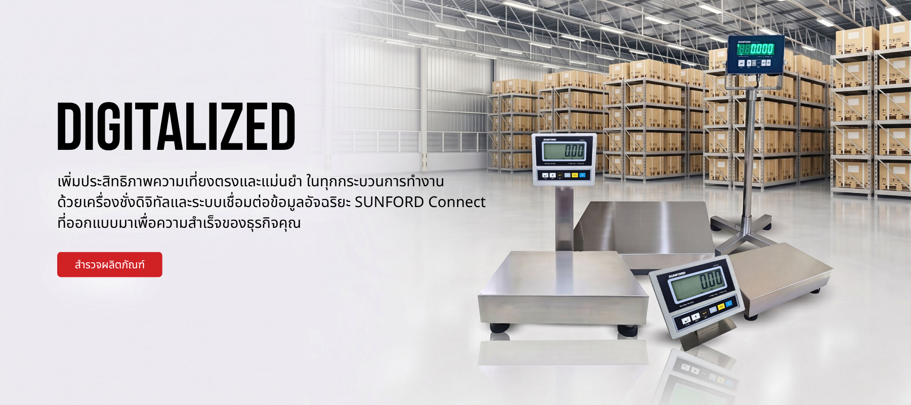 Industrial standard & custom scale